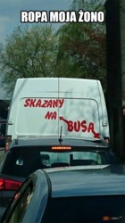 55fd9d2c-9060-4710-91c6-020e34ab00e8