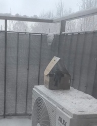 b82a657d-6906-4a76-957e-a9dafef53b72