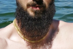 b36d878c-7424-4180-be62-5e7783683f9a