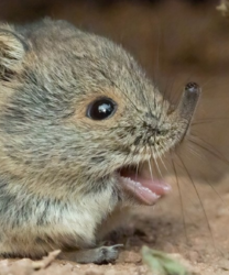 765e408a-00cc-4128-aed1-2124374e7160