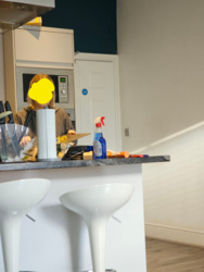 c0f19d97-f9a4-4cab-b2ab-3cebc930f36d