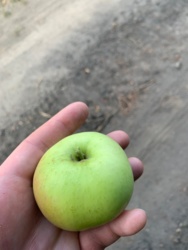 f7ad8036-e108-4126-aa8f-0a9585b0dade