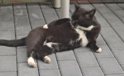 322612e0-62db-4030-a6f8-b7aecf18d8a9