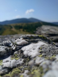 e8060b97-d69c-4b83-852c-f3e9d41d79a5