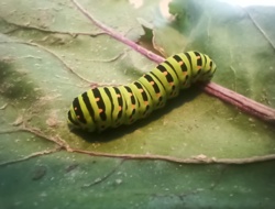 c276848c-d745-4eb1-ad60-15d638873513