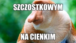 37561ba1-d3a4-4df0-adc9-76d08479b786