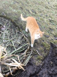 b99a1830-f6d0-47d0-9f5d-ce6c7203f08e