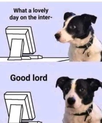 e7ccf2f9-8de9-4642-9626-46d323708a1f