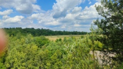 34b109d6-3492-4060-932f-81f760a65c94