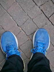 55473dfe-2734-4568-bb58-bc2c3bac9348