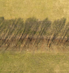 3411008a-43b9-41d7-934e-bfb7cd2f7914