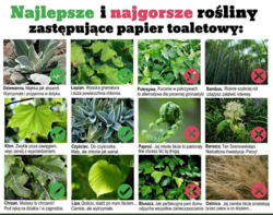 dda575be-54c0-4413-ab95-348fd97d13a6