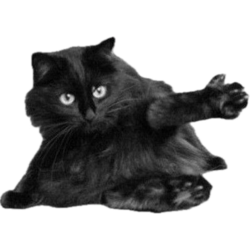 57fa2ee4-6436-4ee6-8225-16cef2c7f1d6