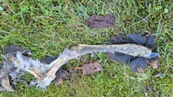 fa9ce435-f990-475c-8479-f5994b91c022