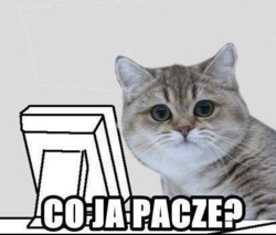 a98b9337-62cc-469b-bdcd-3d142beaf374