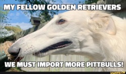 d083cf8b-4001-44aa-9b63-cb12bebef85d