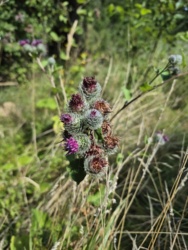 4519e12b-aea4-4a29-b695-2723d98e7a0f