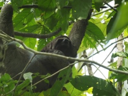 3e2c4b54-cca7-47ea-9531-c26d77366a12