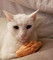 86120eea-6381-4804-903d-4cacb61bc882