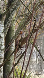 9789fb6f-ca07-40d9-8107-2502ff515f62