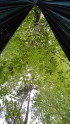 52b80514-e5a4-4937-b0ee-c9c44bd29d3a