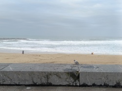 5d973155-a890-4ec1-b8d9-fd27c282e222