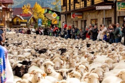 c40e3095-f495-4533-9d6a-307da4a67dfb