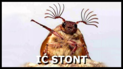 7f54a2ca-fb9b-427d-bbba-5af8e3bae98d