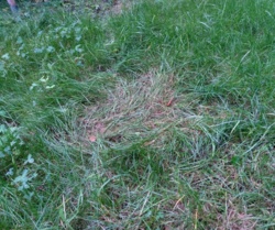 7a92be36-b20f-4da6-9439-c6175c628d2c