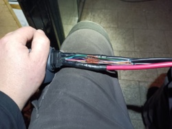 425ca95b-339a-4046-9633-6e741118fcf0