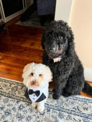 d2e66fbb-d707-4d5e-b208-4619ee7c79ed