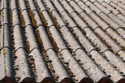 81e695bb-125a-4723-89f0-d9fe0c00efc3