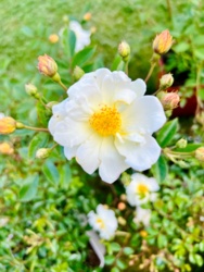 f344bc32-b724-4b99-89b0-95ec649d80ea