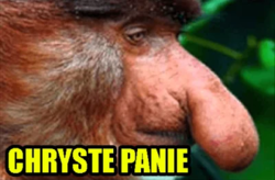 3244d5a1-2764-4317-86e2-9f63dffdfe64