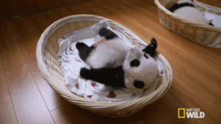 01fa6201-19c8-4731-b803-526793af469a