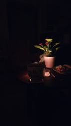 1b092592-a8a6-48dc-9b95-3958438e24f3