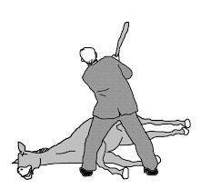 3d921f6b-5346-4385-82e0-46002c2c667f