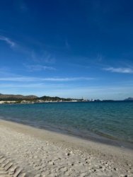 4537b071-2075-468b-adf8-a3db74b49931