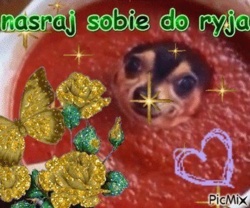 0c8958c2-ef64-4f45-98a7-d84d4d633504