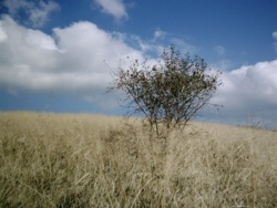 889011b9-56fa-42d8-8178-6d79ee86fc9e