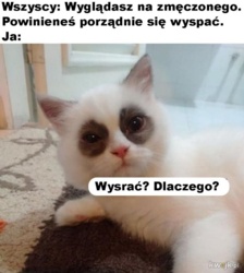 1487b393-72f2-4cd7-878c-585c67e05b08