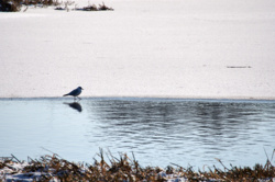 7679aee9-44a0-46e3-bb79-83d93fcdbced