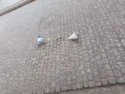 42f24197-334d-46dd-a64c-9b162ae2bafa