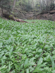 740990fd-4814-4789-8b79-b03a385731e9