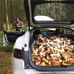 238a28e7-a3d4-4fe0-ba8c-1fbe950799fb