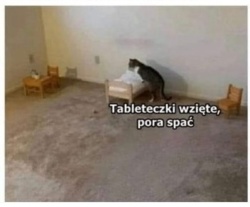 69315e5f-d9d5-48bd-8008-de0676f3fff5