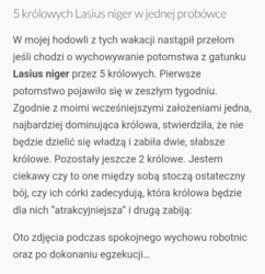 afe5d04b-a209-4fbb-8322-98e7d50b12e7