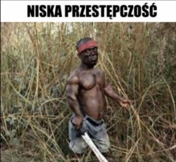 f6666f37-23ae-4ecf-a3b0-fced4a6d53f7