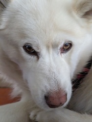 062a8c85-4362-4136-a863-a31a7046ac1e