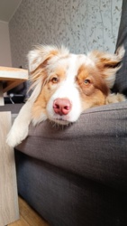 6a32b030-ca00-4806-938e-9d747e437b75